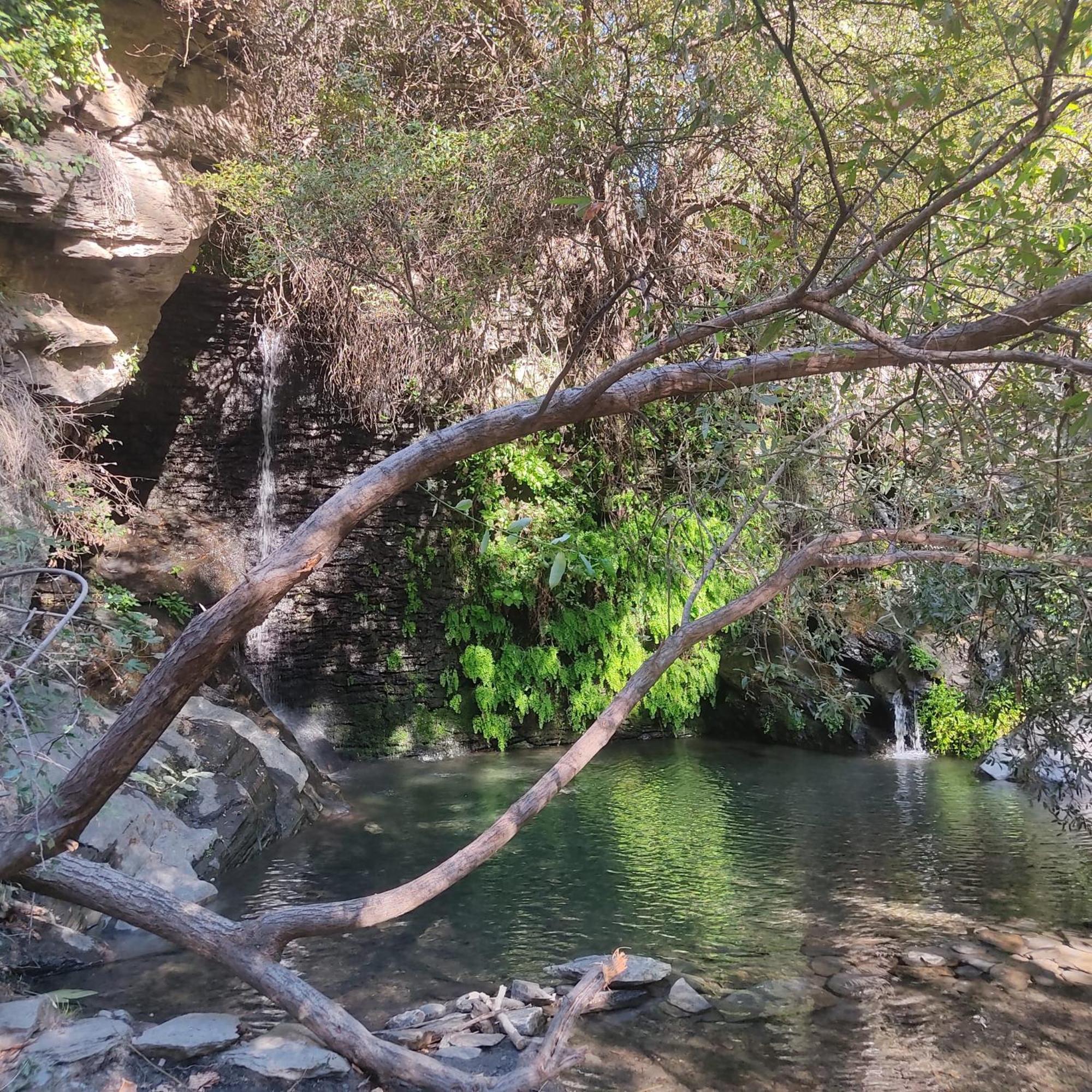 شقة La Castana Y La Uva Ohanes المظهر الخارجي الصورة